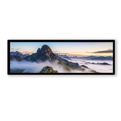 Segnaletica digitale con display a barra da 28 .6 pollici